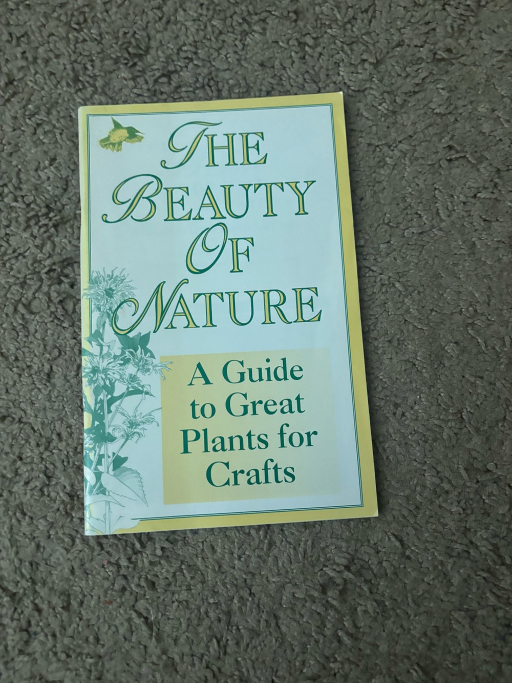 - Green and Cream Craft Guide